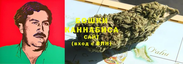 шишки Бронницы
