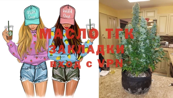 шишки Бронницы