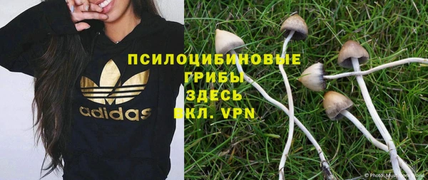шишки Бронницы