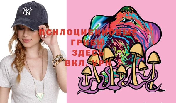 синтетический гашиш Бородино