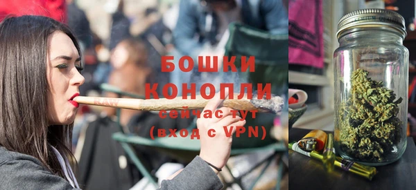 шишки Бронницы