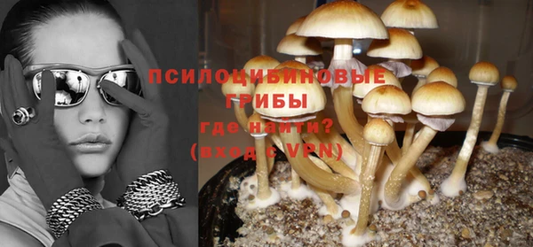 шишки Бронницы