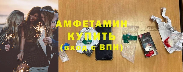 шишки Бронницы