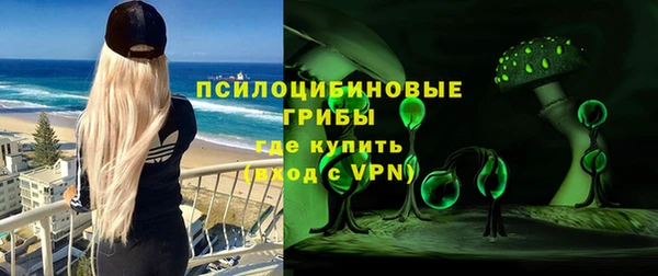 шишки Бронницы