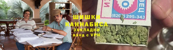шишки Бронницы