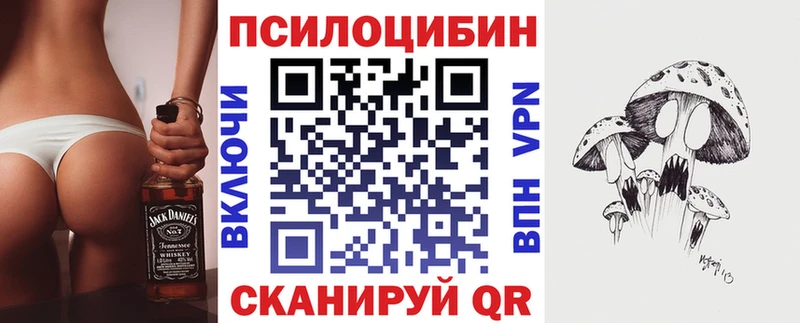 цены наркотик  Ленинградская  Псилоцибиновые грибы мицелий 